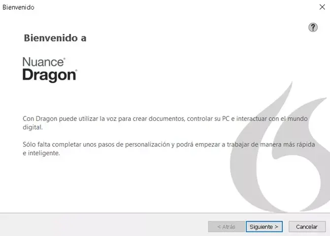 Nuance Dragon Professional Individual Versión Full Español