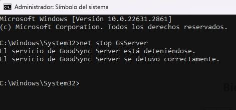 GoodSync Enterprise Versión Full Español