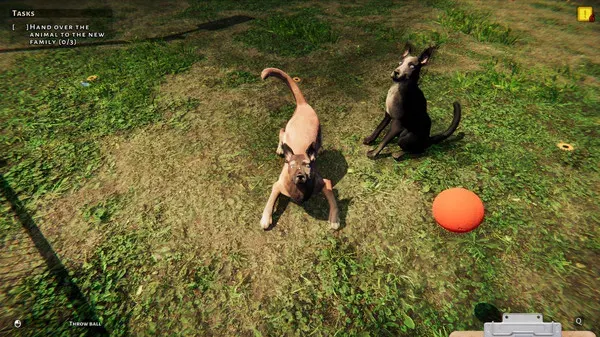 Animal Shelter (2022) PC Full Español