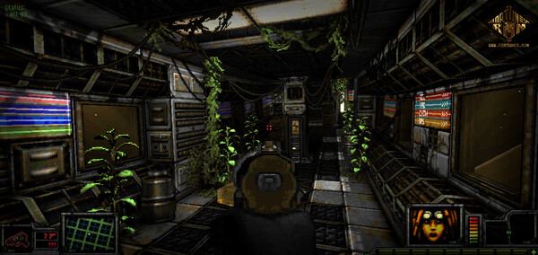 Fortunes Run PC-GAME