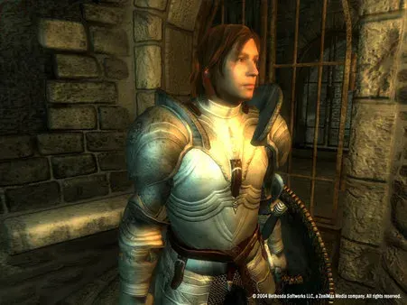 The Elder Scrolls IV: Oblivion Game of the Year Edition (2007) PC Full Español