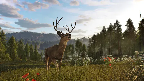 Way of the Hunter 2 PC-GAME Español Way of the Hunter 2 PC-GAME Español