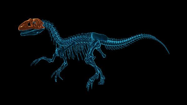 Dinosaur Fossil Hunter (2022) PC Full Español