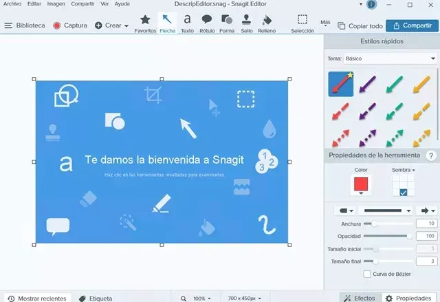 Techsmith Snagit Full Español