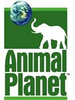 Animal Planet Air Edition Juego para PC en Español Descargar 1 Link