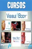 Portada de AIO Visible Body Anatomía del cuerpo humano 3D 2014