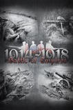 Battle of Empires 1914-1918 PC Full Español