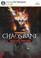 Warhammer: Chaosbane PC Beta