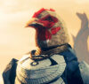 jugger22